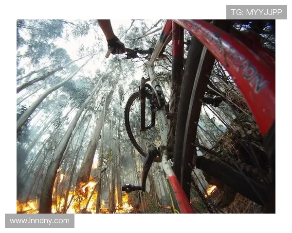 南京极限运动队的防反体系与极限运动战术的创新探索