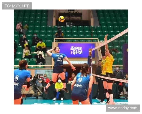 成都排球队个人能力提升引发热议展现新风貌与未来潜力